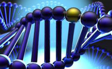 Bőrrákot okozhat a hasi zsírgén? 