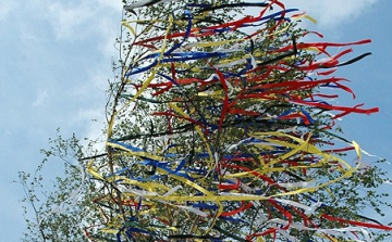 Májusi terület megjelölés, avagy állíts Te is májusfát!