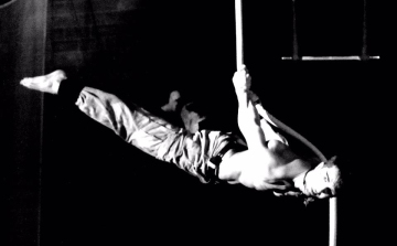 Szaltóval Bajától New Yorkig