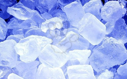 Élve fagyasztották halálra