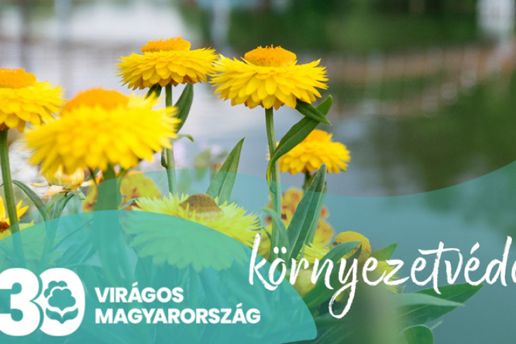 Kiosztották a Virágos Magyarország 2023-as elismeréseket