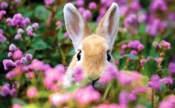 Húsvéti szöszmötölés