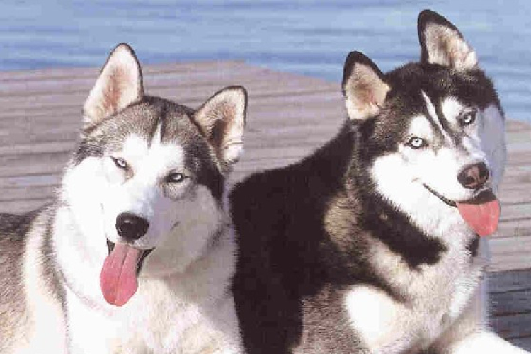 Szokatlanul meleg van Alaszkában