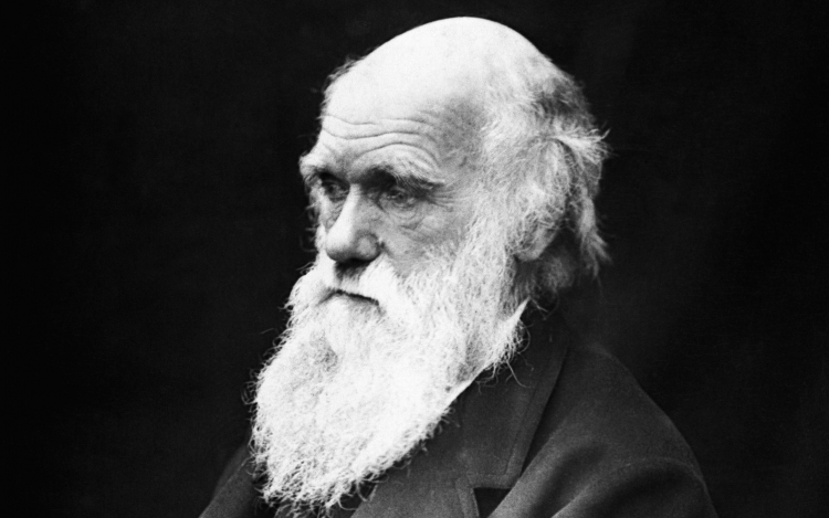 Rekordáron, csaknem 900 ezer dollárért kelt el Darwin egy aláírt kézirata