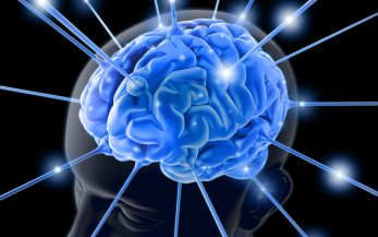 Egymilliárd eurót szán az EB az emberi agy vizsgálatára