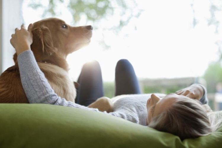 ELTE-kutatás: a kutya egyszerre gyerek és legjobb barát