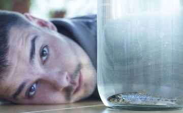 Kiss Ádám - Az év állata? 