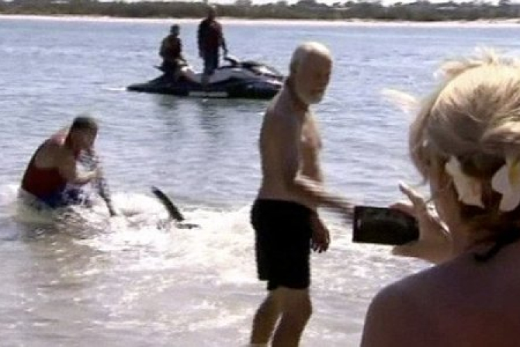 Kirúgták a cápával birkózó gyerekmentőt, mert betegállományban hősködött