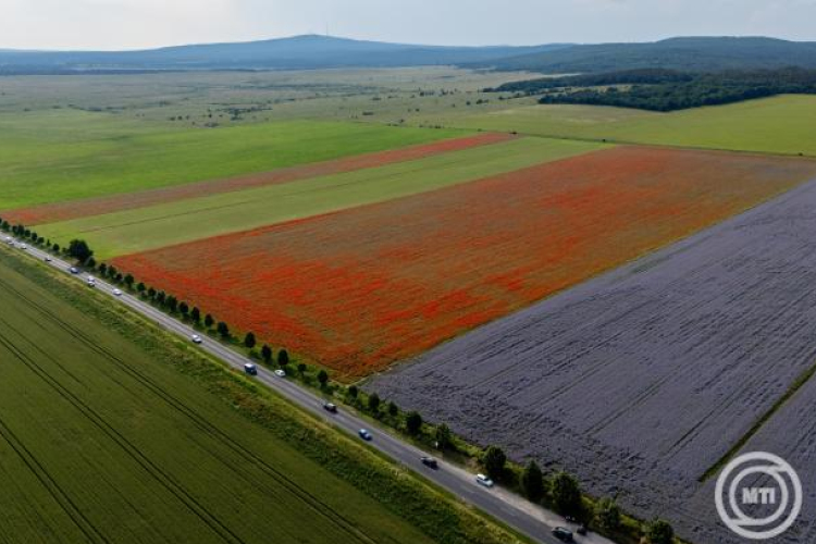 Agrometeorológia: nagy szükség lenne a májusi esőre