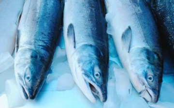 Nagyhalak lehetünk az uniós piacon