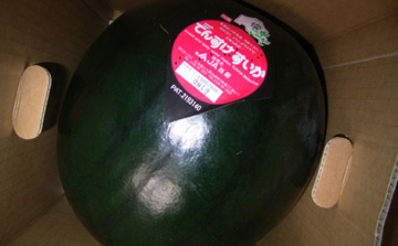 A legdrágább dinnye