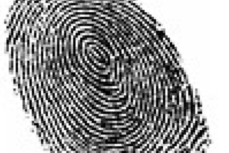 Szilikonujjakkal falazott kollégáinak