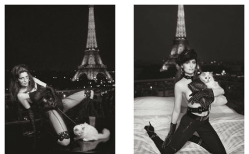 Vogue címlapot kapott a világ leghíresebb macskája