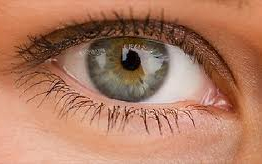 Már az anyaméhen belül szüksége van fényre a szemnek 