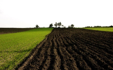 Osztrák-magyar-földvita - Magyarországon földdel rendelkező osztrák gazdák panaszait vizsgálja az EB - ÖSSZEFOGLALÓ