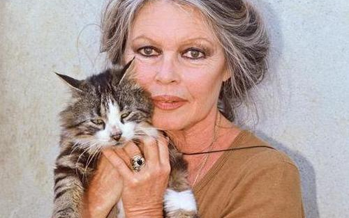 Meglett Brigitte Bardot macskája