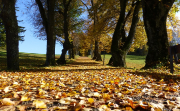 Csaknem rekord meleg volt az ősz