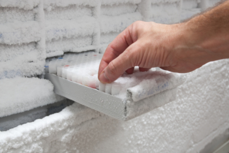 Hat éve halott férfinak született gyermeke Izraelben