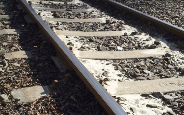 Halálra gázolt a vonat két, a síneken fekvő embert