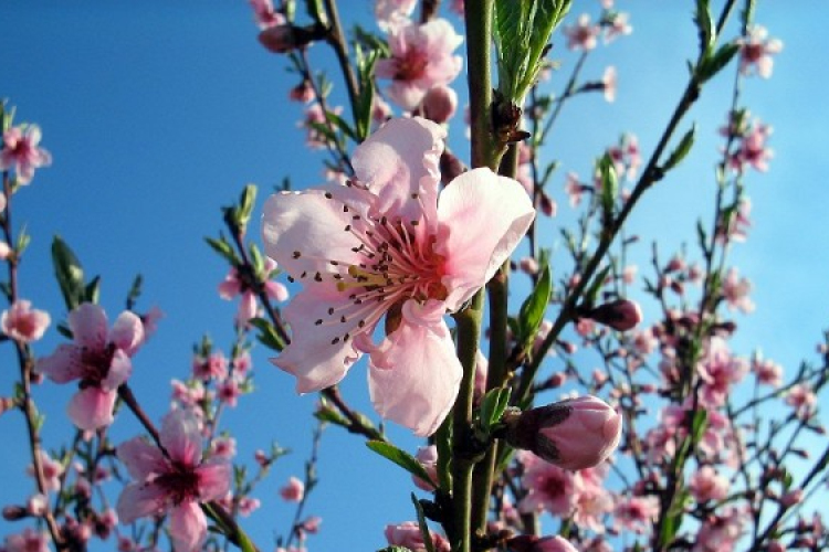 A jövő héten akár 20 fok is lehet