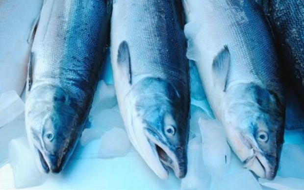 Nagyhalak lehetünk az uniós piacon