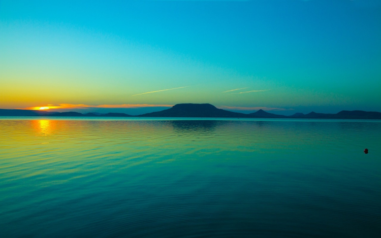 Algásodást jeleztek a Balatonban