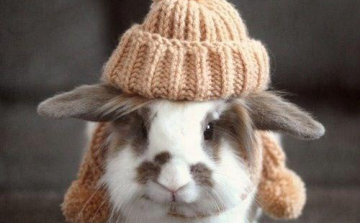 Húsvéti szöszmötölés